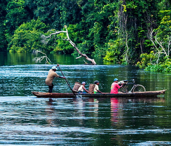 3 Day Gorilla & Nyirango Hike