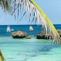 10 Day Wildlife Experience & Beach Vacation
